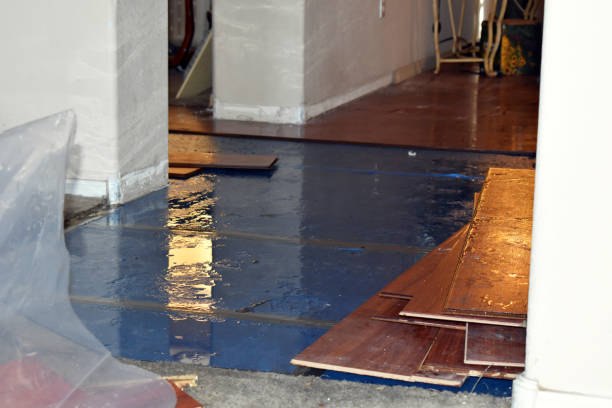 Professional Emergency Water Damage Restoration technician working in Leesville, TX